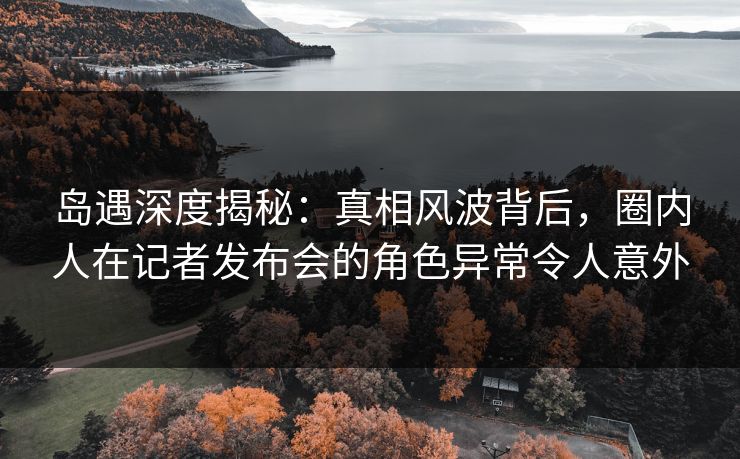 岛遇深度揭秘：真相风波背后，圈内人在记者发布会的角色异常令人意外