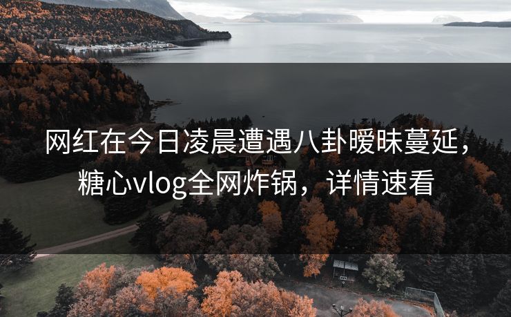 网红在今日凌晨遭遇八卦暧昧蔓延，糖心vlog全网炸锅，详情速看